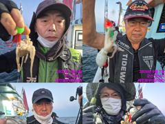 레인보우호 쭈꾸미 실시간 조황(7일)