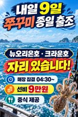 <다크호스호> 쭈꾸미 오후 마무리 조황(8일)-내일 쭈꾸미 자리있습니다.