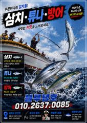 (東)동해조황 - 지속된 북동기류, 대삼치 포인트 상황! (금욜부터 출항 가능해요)