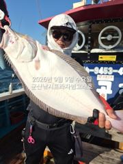 실시간 조황 - 8일,날마다 쏟아지는 대광어~참돔,우럭등~오늘도 굿굿 ~!~싸이즈 좋아요~내일도 출조~군산낚시프라자 범고래호
