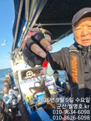 쭈.갑 먹물조황+ - 9일, 군산쭈꾸미~오늘도 시작~점점 좋아지는 조황~오전/오후반~군산낚시프라자 월명호