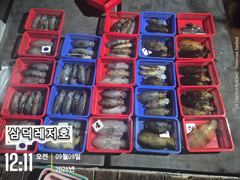 [팁런]일인,두자리수는 가뿐히,넘기고(금,토출항예약중)