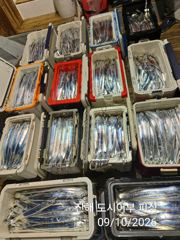 갈치한치조황++ - 준내만 갈치 텐빈 다시 돌아오는 4지급 갈치가득 조황 일요일부터 예약가능