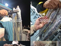 진해내만갈치~밤새 피딩피딩~~쿨러 가득~~예약가능