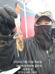 (西)서해조황 - 군산 대호피싱 쭈꾸미 대박 11분 모시고 사리 물때에도 잘 나오네요