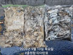 쭈.갑 먹물조황+ - 9/10 홍원항 타이탄호 쭈꾸미 조황