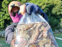 (南)남해조황 - [ 여수만진스타호 ] 새벽문어 장원20수외 조황 !! 사리때여도 마릿수 굿~~ 일요일 자리여유