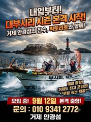 출조안내 - [긴급 출조] 부시리. 참돔 시즌이 돌아왔습니다. (무료 숙소 제공)