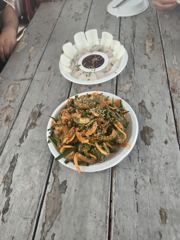 찌낚시조황 - 버글버글 감성돔