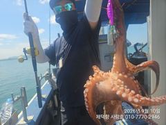 "여밭돌문어" 강풍에 1500g800g700g외 덩치들과~개인11수10수10수8수외,,,(내일 1자리 예약가능)