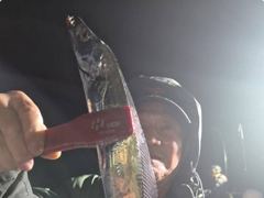 [진해] 내만갈치~3지갈치 퍽퍽퍽!우당탕탕올리고(월,화,수쭉~예약가능)