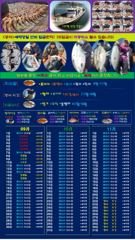 출조안내 - ♥ 붉바리들..이정도는 잡아봐야지요 초초대박 붉바리조황입니다[2026년09월11일] ◎ 해마루호가 뜨는이유? 조황때문이죠 ◎ 핵심포인트: 바로진입.. 바로히트.. ◎ 차원이 다른 조황으로 모십니다 ▣ 요즘 붉바리낚시가 대세입니다