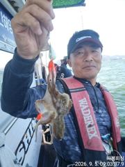 (南)남해조황 - 쭈꾸미조항 입니다 ~13일 일욜(출항확정) 예약가능 합니다