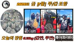 쭈.갑 먹물조황+ - 루어파이터호-9/11 금 [7물] 쭈/갑 조항 입니다.