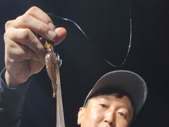 무늬팁런 151수 게속해서 3자리 이상 달리중