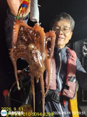 돌문어 잘 올라 옵니다.일요일 오전.오후 예약중