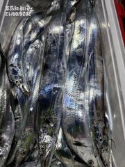 [진해] [준내만갈치]오랜만에손맛보고왔습니다~!! 월요일,화요일 쭉 예…