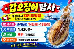 <크라운호 >사리에도 쭈꾸미~ 잘나옵니다~ 실시간조황(13일)