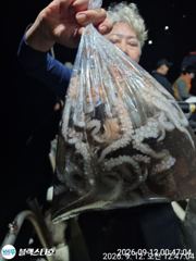 원도권 야문 대박조황~ 오늘 5자리여유