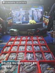 11일 무늬 팁런 108수 마감 대삼치는 만쿨입니다