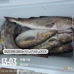 임원항드래곤호 왕대구 조황입니다