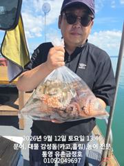 통영 금정호 문어선상 미릿수 손맛! 내일 자리있습니다