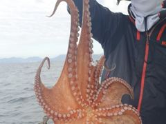 돌문어 키로급외 중치로 마릿수 팍팍.. ( 월요일 예약가능 )