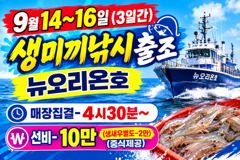 <하나호> 쭈꾸미 오후 마무리 조황912일0-내일 쭈꾸미 종일,오후 자리있습니다.