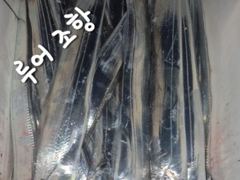 [마산] 내만갈치 사이즈 마리수 굿굿!!! 낚낚GOGO~