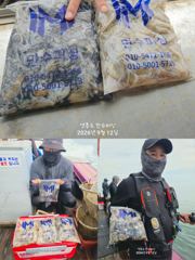 9월 12일 쭈꾸미 조황