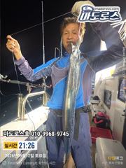 갈치한치조황++ - 여수 시미터 피싱(갈치지깅 전문선사) 26년 9월 11일 갈치지깅 조황