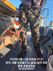 통영 금정호 문어선상 미릿수 손맛! 내일 자리있습니다