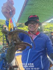 통영 송현호))돌문어 실시간 느나 느나 마리수~