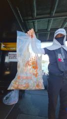 10일 사리물때 왕쭈꾸미 조황임다!!