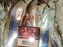 내만갈치담배갑싸이즈까지마릿수굿~쿨러만~당