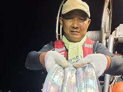 [진해] 아폴로깊은장 풀치속에대치들이보이네요/낼예약가능