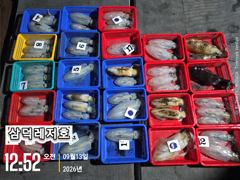 [통영] [팁런]감자,no,고구마,무시급으로(일요일,소수인원,출항확정)