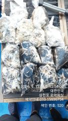 [사천] (주꾸미)100수오버~30여수까지 삼천포 대박소식~로마피싱(14…