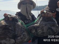 먹물조황 글만 보기