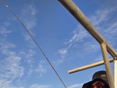 계룡호 글만 보기