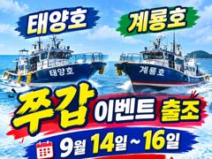 태양호 글만 보기