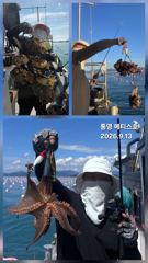[통영] 통영] 문어 사량도 굴어장 조황 13일(일) 통영 메티스호