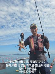 통영 금정호 오늘 오후 문어 출항합니다 자리있어요~~