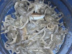 260913 여수조꾸미조황