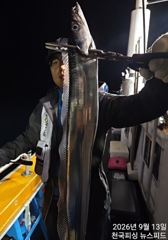 준내만4지급왕갈치씨알끝장(내일예약가능)