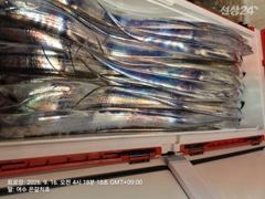 9월15일여수은갈치호 백도권왕갈치 대박조항