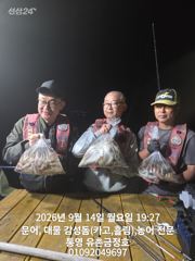 통영 금정호 오후문어선상 마릿수 좋습니다!! 내일오전타임 자리있습니다