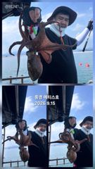 통영] 문어 사량도 굴어장 조황 15일(화) 통영 메티스호