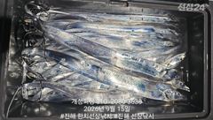 [진해] 은빛 텐빈 내만갈치 느나느나 조황 오늘 무조건 출항 자리여유많음