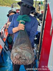 [고흥,녹동] 금해호 조황은 문어 금어기 풀린날 냉장고 채우로 오세…